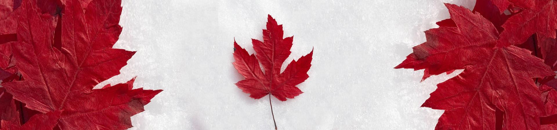 canadian flag with leaves and snow